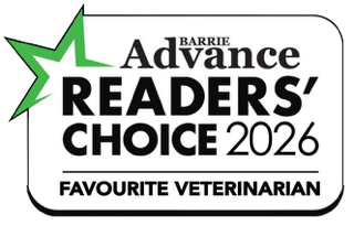 Advance Readers' Choice 2026 - Favourite Veterinarian