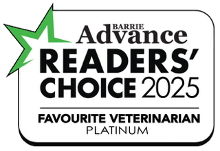 Readers Choice 2025 - Platinum Favourite Veterinarian